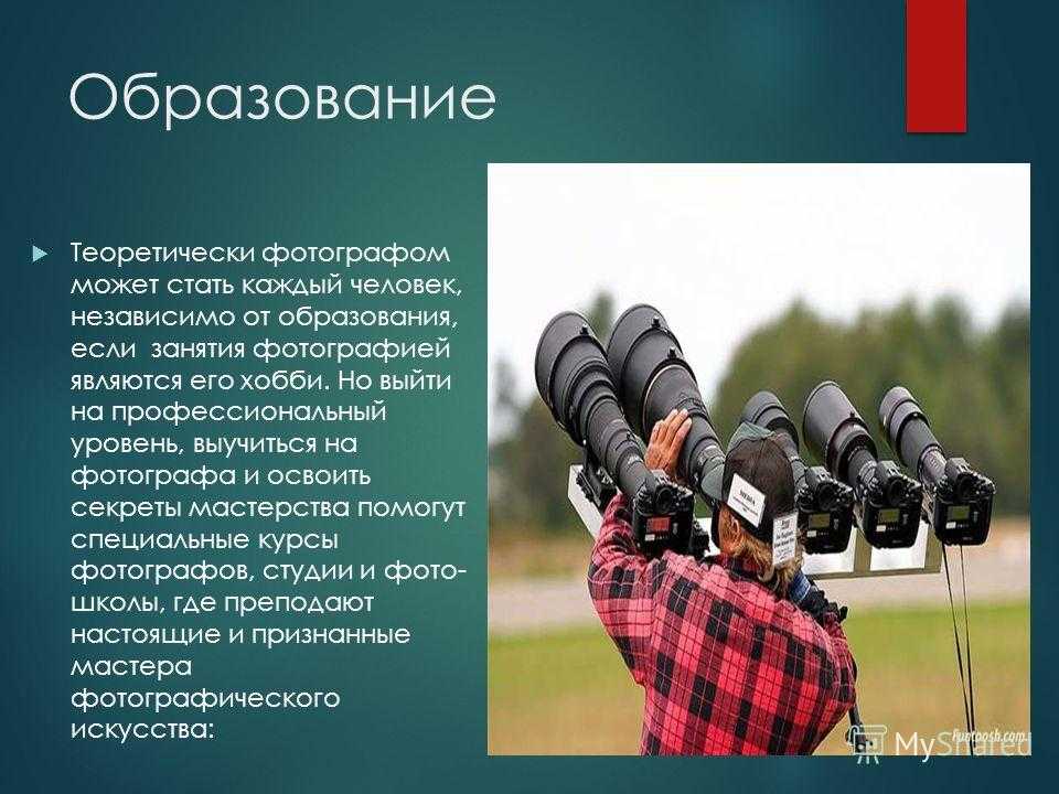Сколько зарабатывает свадебный фотограф и как им стать: советы, сложности профессии