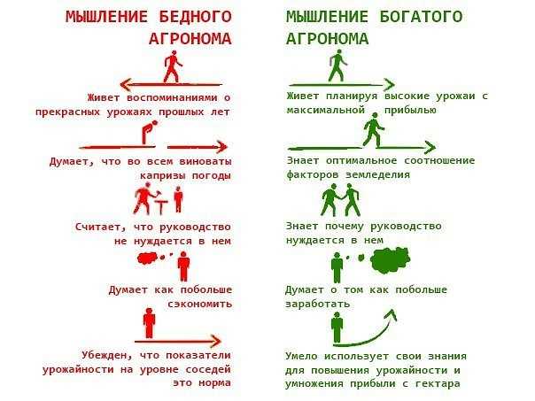 Мышление богатого и бедного человека: чем отличается, как поменять