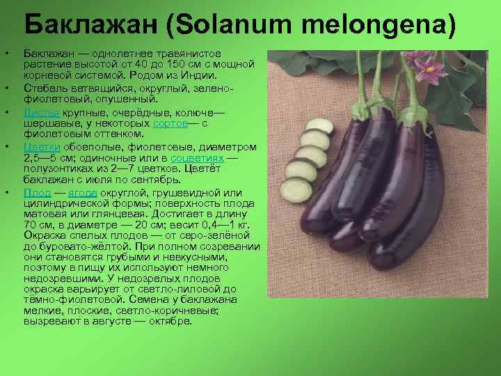 20 идей бизнеса с минимальными вложениями