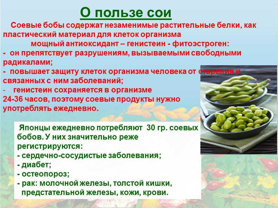 Статьи об оборудовании на портале wwwEquipNetru