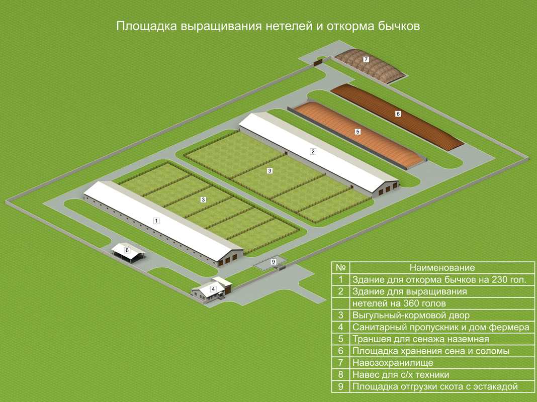 Забойный цех: убойный пункт крс, мини бойня и модульный для убоя — инструкция на рабочем месте забойщика крупнорогатого скота