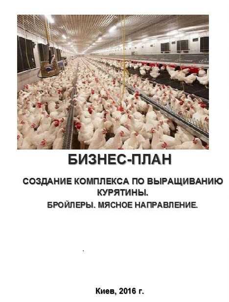 20 идей бизнеса с минимальными вложениями