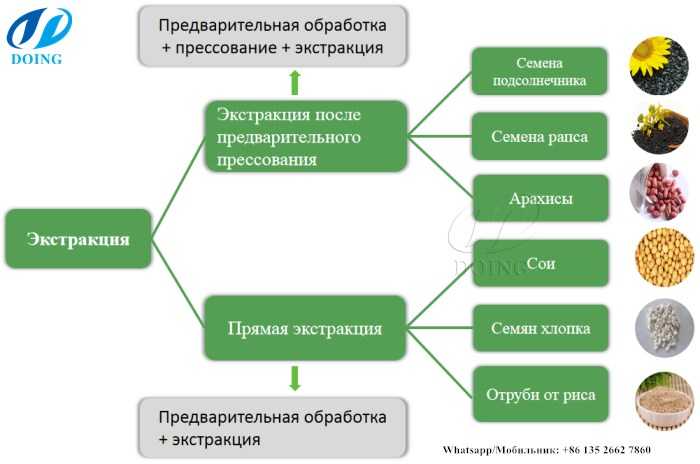 20 бизнес-идей производства еды
