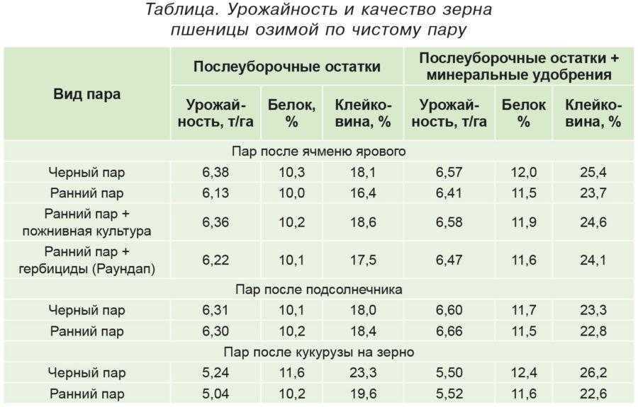 Фуражное зерно: что это значит и чем отличается от продовольственного, как выглядит