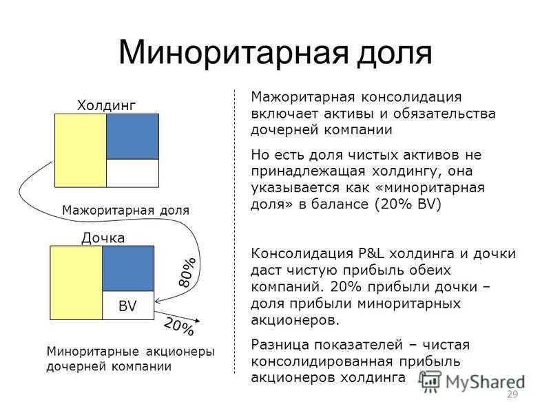 Мажоритарный и миноритарный акционер: статус, права и защита интересов - корпоративное право