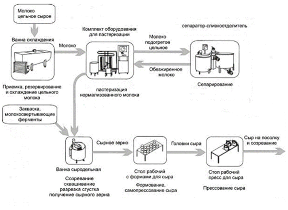 Производство сыра: готовый бизнес-план с расчетами, пошаговая инструкция, как открыть сыроварню, и её рентабельность в россии