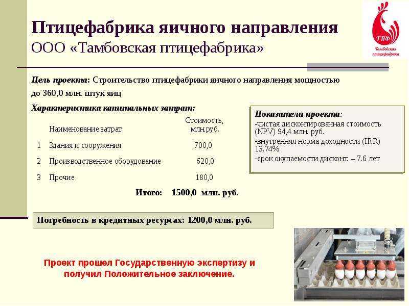 Бизнес-план птицефабрики