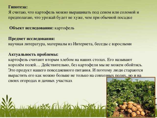 12 идей для пассивного заработка