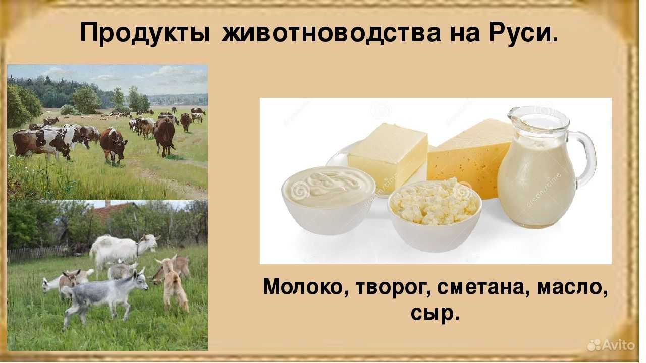 Американский сыровар джей клоуз представил новый сорт и готовится к фестивалю в истре — викиновости