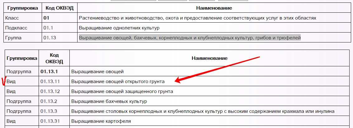 Код оквэд 45