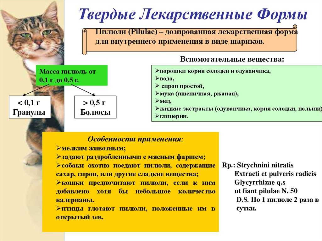 Технология изготовления таблеток