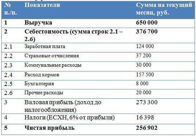 Разведение и выращивание свиней в домашних условиях как бизнес: готовый план по открытию и развитию свинофермы и расчет рентабельности свиноводства