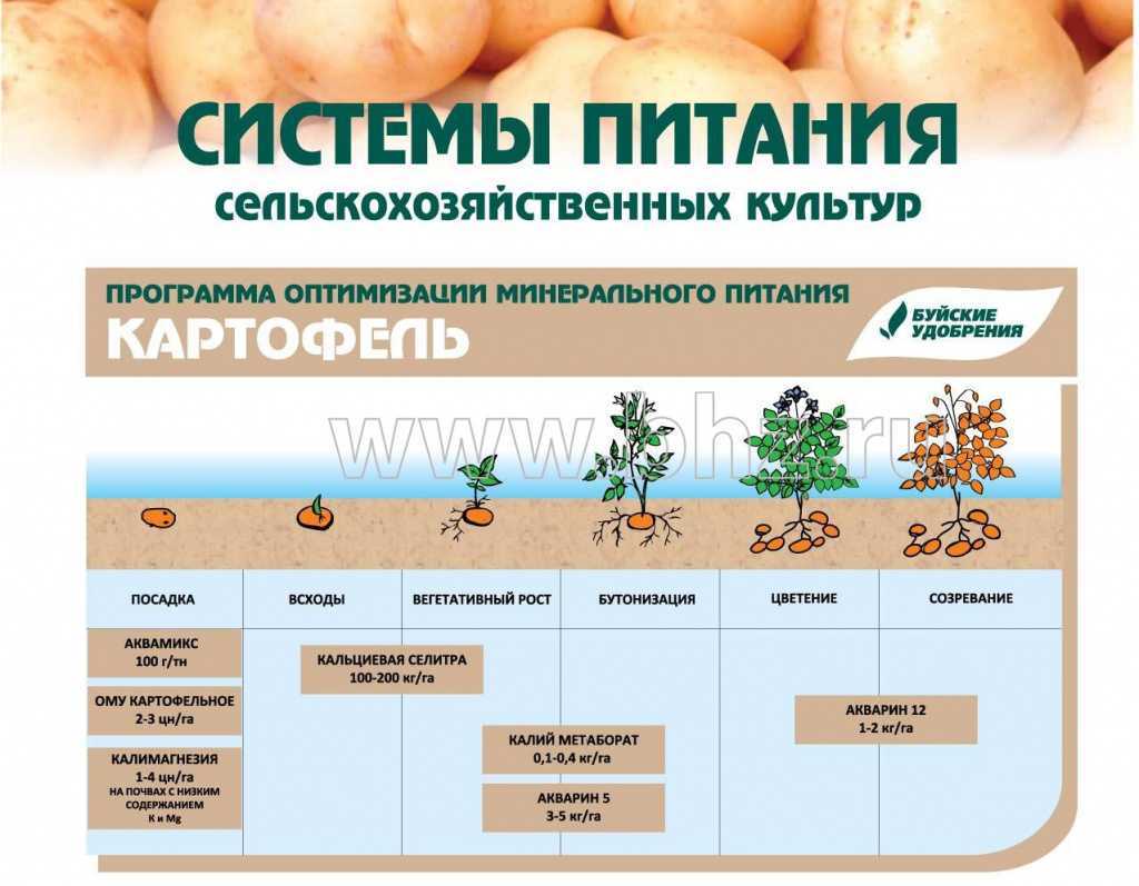 Разложение соломы, расположенной на поверхности почвы, при различных системах основной обработки | статья в журнале «молодой ученый»