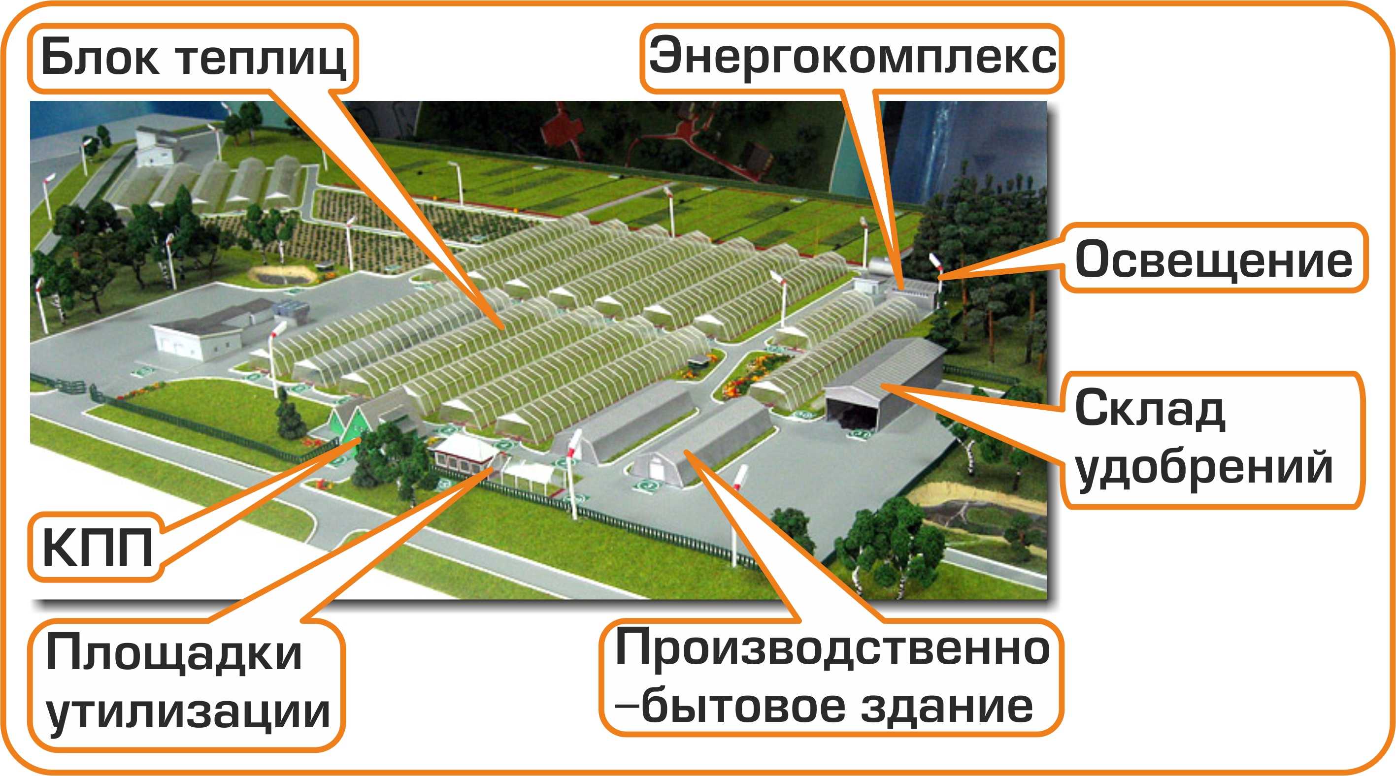 Как открыть тепличный бизнес с нуля: бизнес план с расчетами