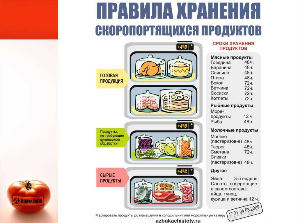 Хранение дома скоропортящихся продуктов