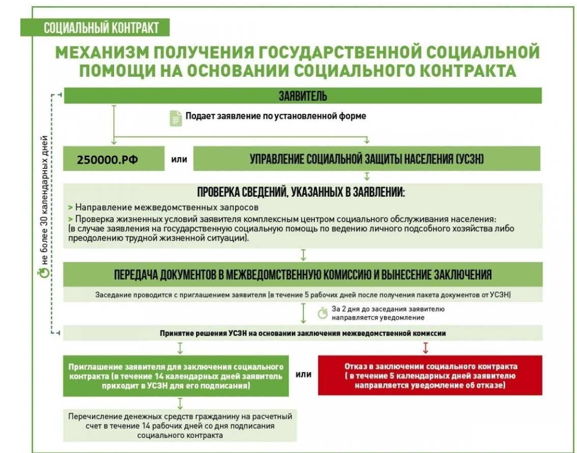 Деньги от государства на развитие бизнеса — социальный контракт для самозанятых