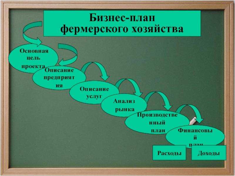 Как зарабатывать 80-120 тысяч в месяц: строим прибыльный бизнес на выращивании микрозелени