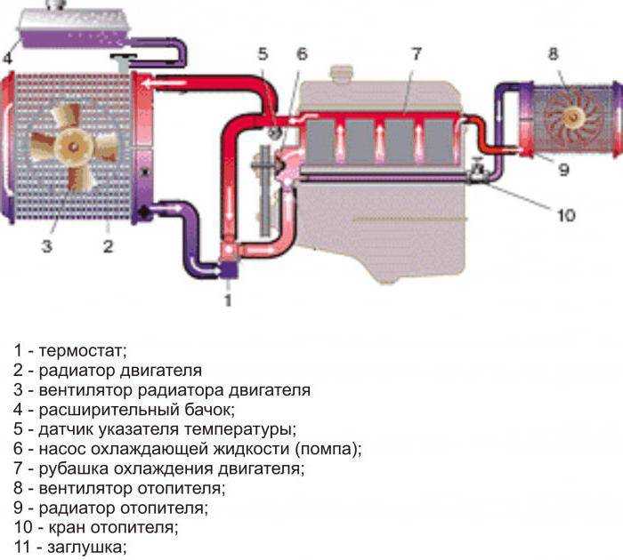Производство антифриза как бизнес