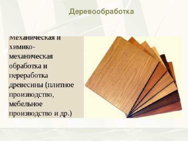 Переработка древесины — технологии и оборудование