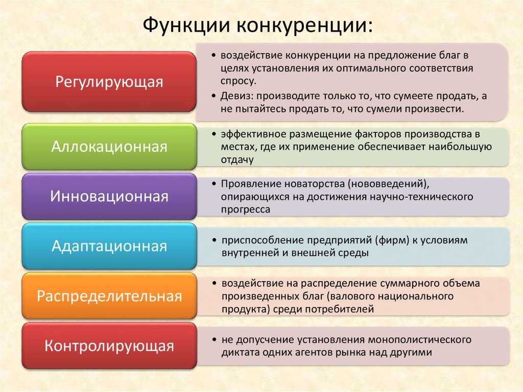 Экономическая модель: какие основные виды экономических систем выделяют, примеры современных моделей