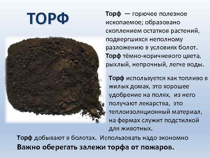 Где взять торф для огорода в природе: какой лучше подходит для растений, использование