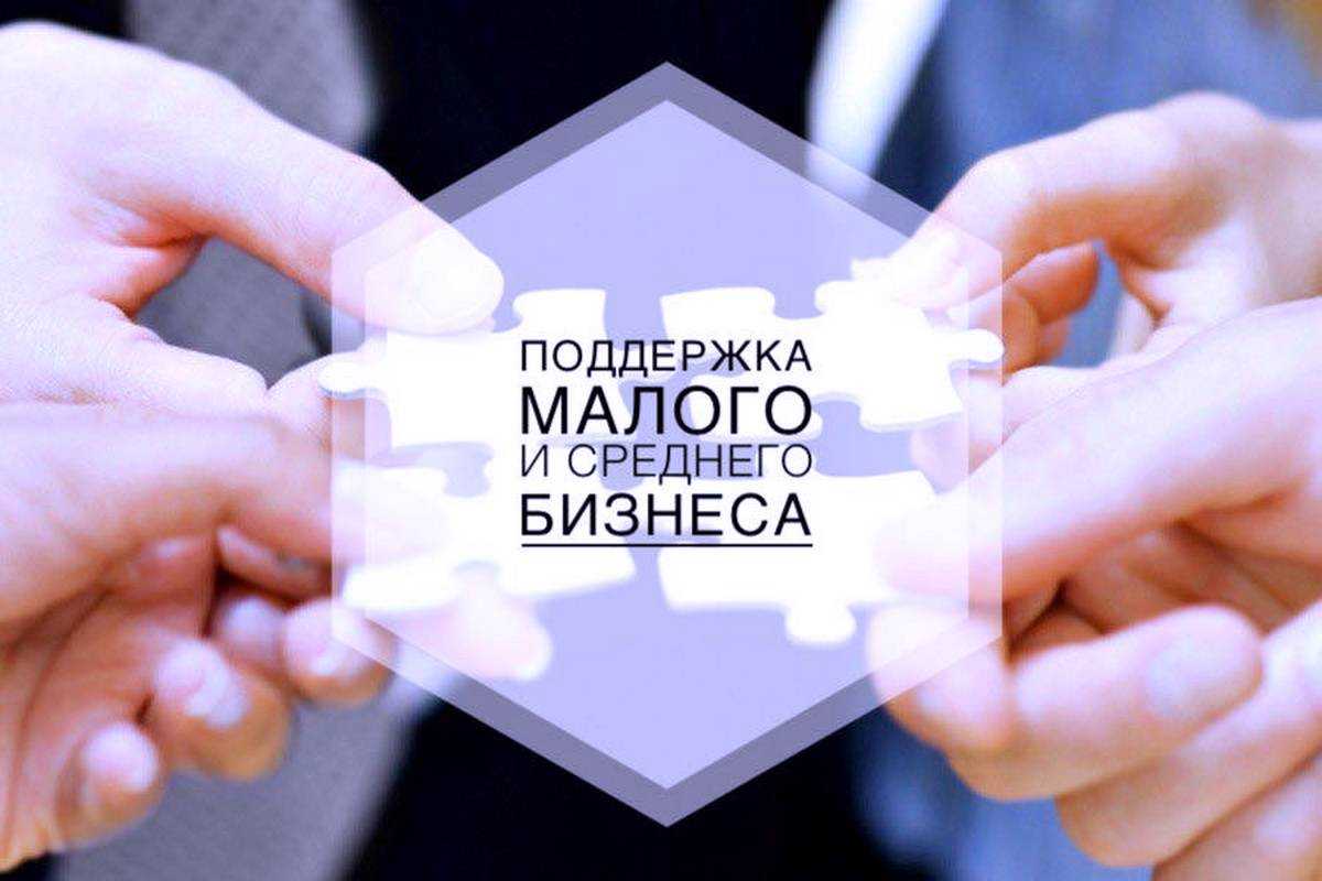 Какие меры господдержки доступны малому бизнесу в 2023 году