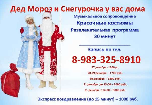 Бизнес-идея вызов деда мороза и снегурочки на дом | делайбизнес.ru