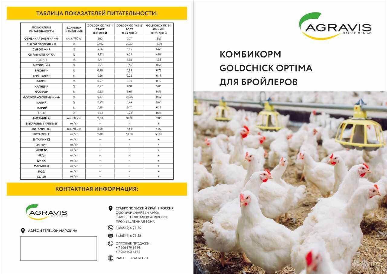 Как открыть бизнес по разведению бройлеров + план с расчётами