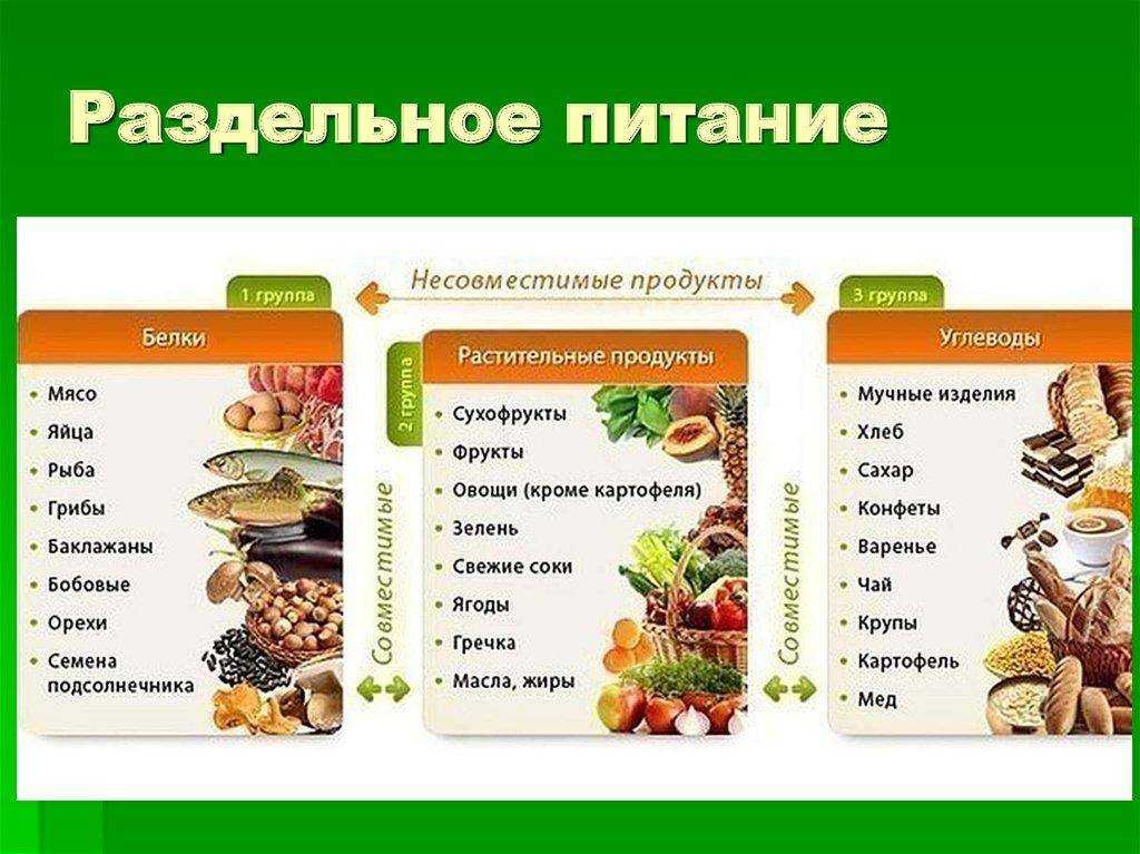 Белгородская область: гк «эфко» построила завод для разработки технологии сахарозаменителя