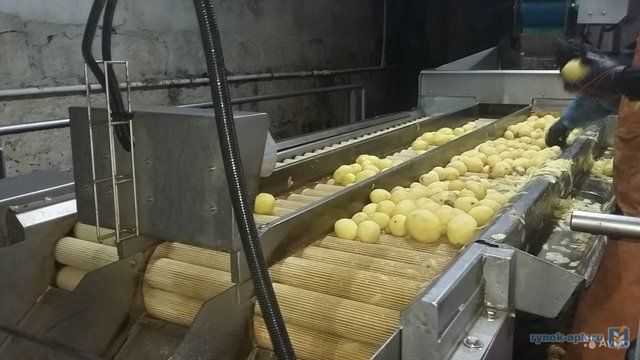 Линия по переработке и вакуумной упаковке картофеля