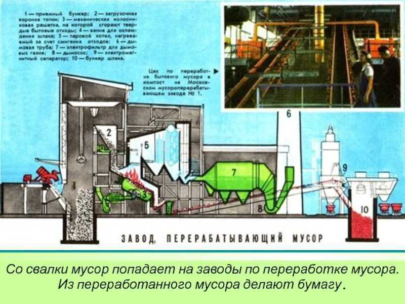 Мусороперерабатывающий завод: утилизация отходов и переработка мусора как бизнес, план на строительство, сколько стоит мусоропереработка