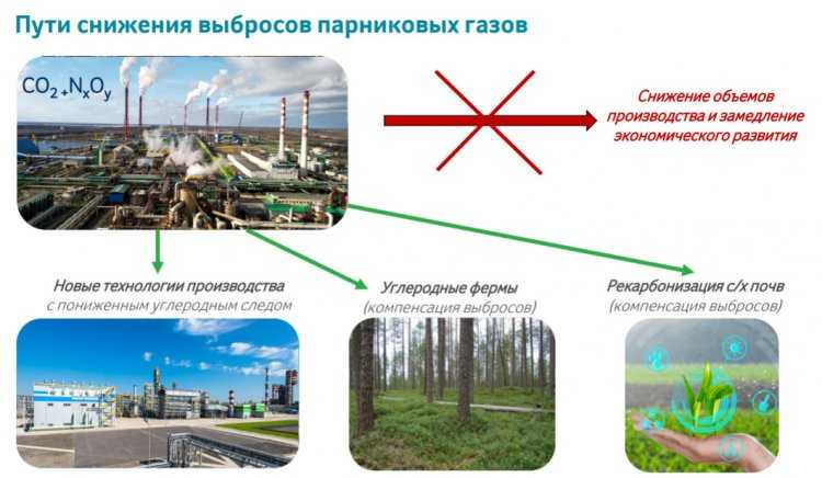 Технологии, которые прокормят человечество: что такое agrotech
