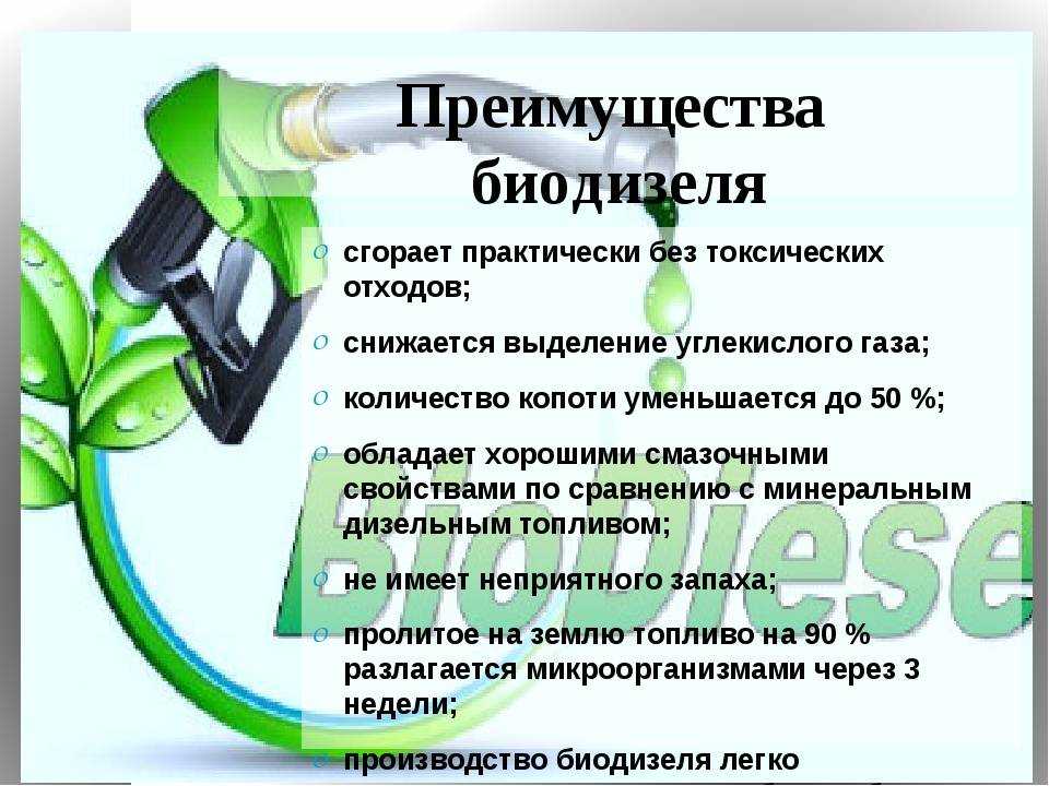 Биотопливо своими руками - из навоза и не только, для каминов, парников и автомобилей