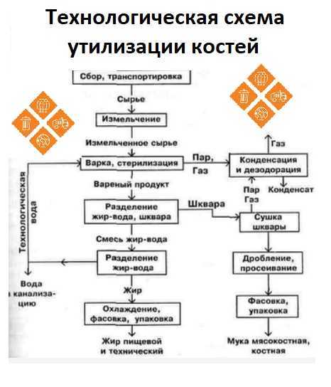 Оборудование для производства мясокостной муки